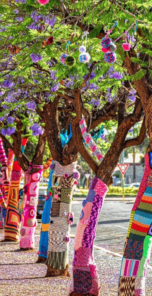 trees yarn-bombed.